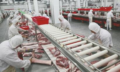 澳大利亚引进猪肉切割机器人 工业自动化迈入新阶段